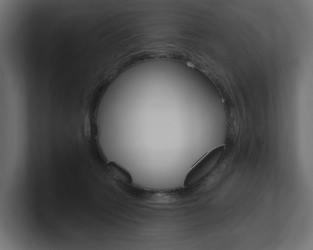 X0000101230562200806270948