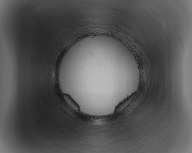 X0000101230564200806270948