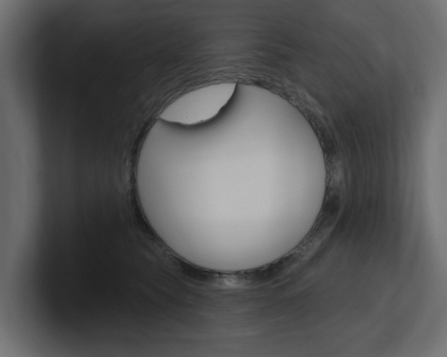 X0000101230565200806270948