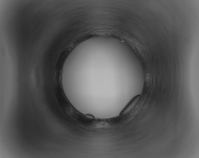 X0000101230572200806270948