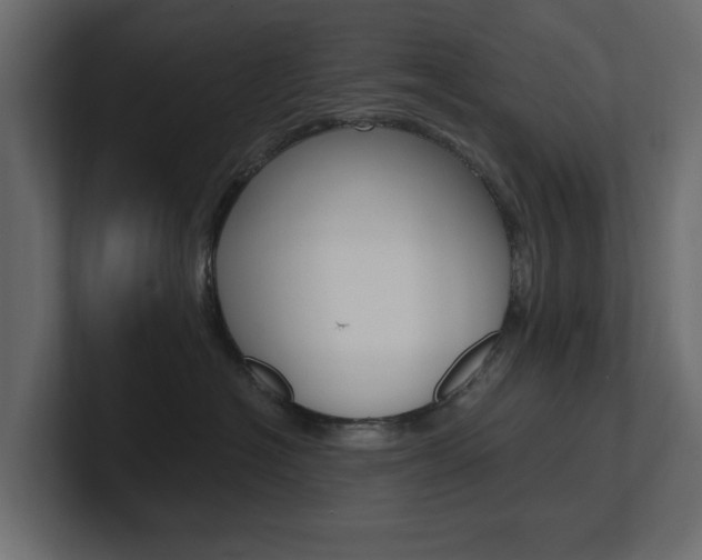 X0000101230574200806270948