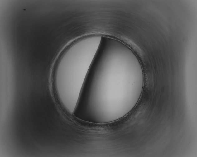 X0000101230580200806270947