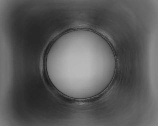 X0000101230582200806270947