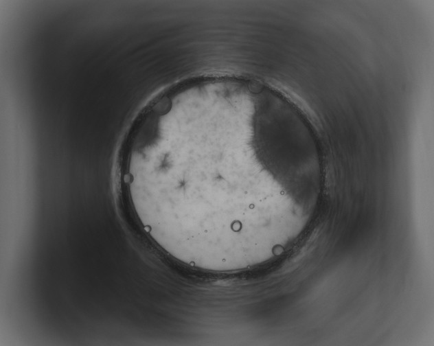 X0000101230584200806270947