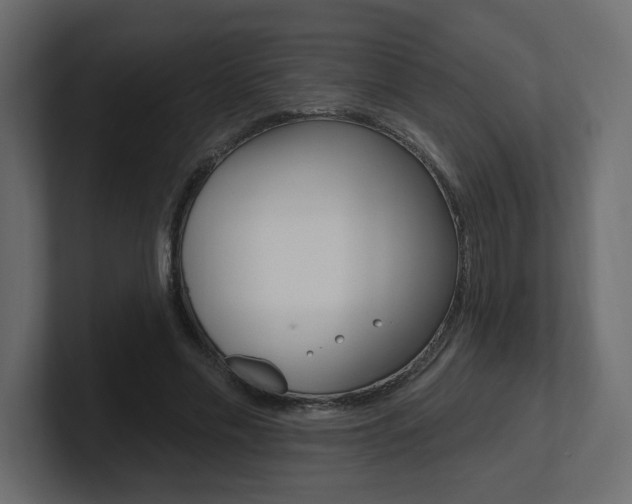 X0000101230589200806270947