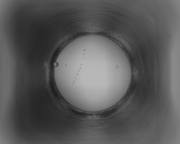 X0000101230591200806270947