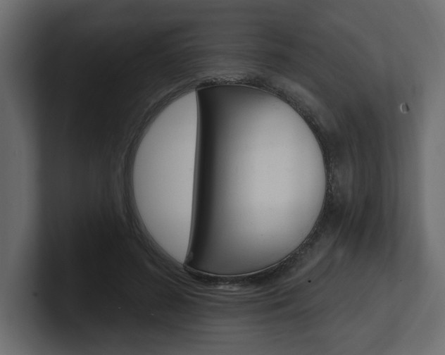 X0000101230596200806270947