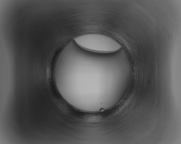 X0000101230597200806270947