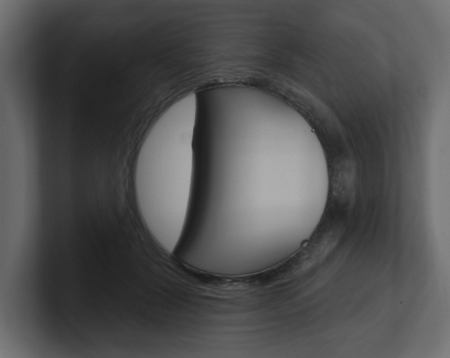 X0000101230604200806270947