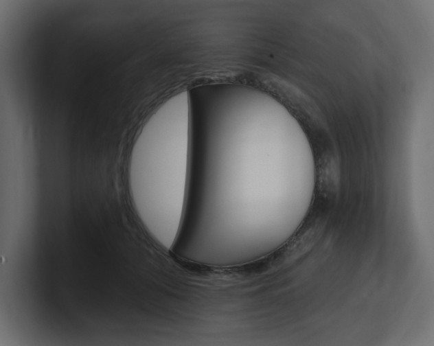 X0000101230608200806270947