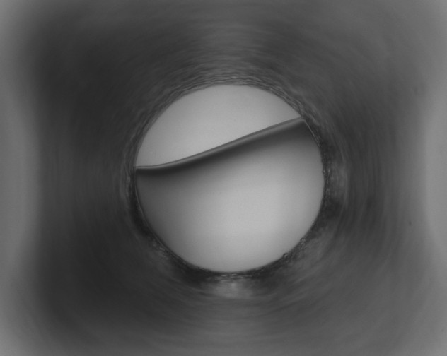X0000101230612200806270947