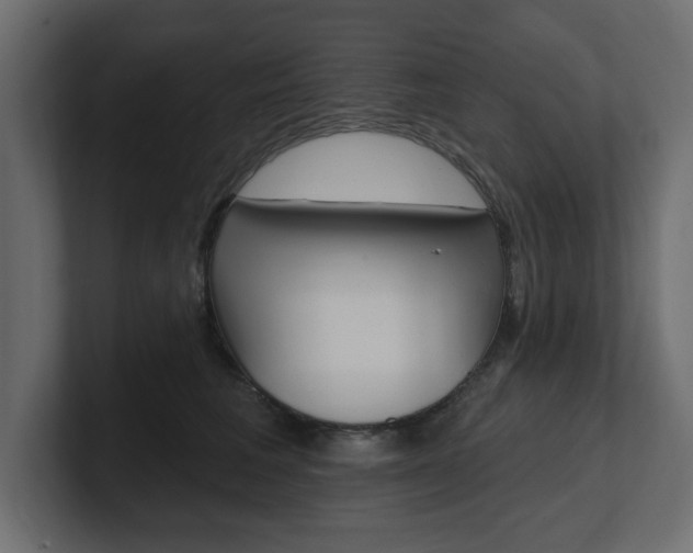 X0000101230613200806270947