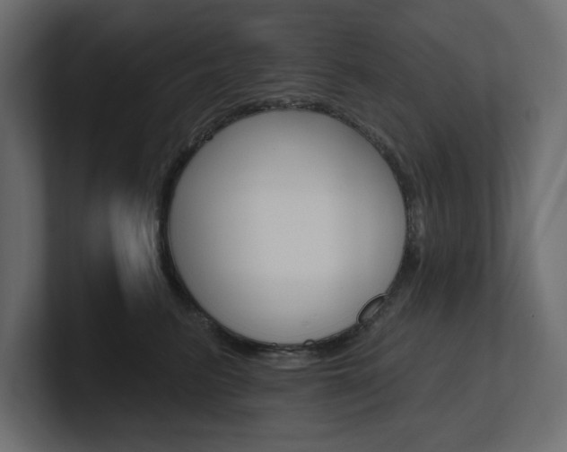 X0000101230615200806270947