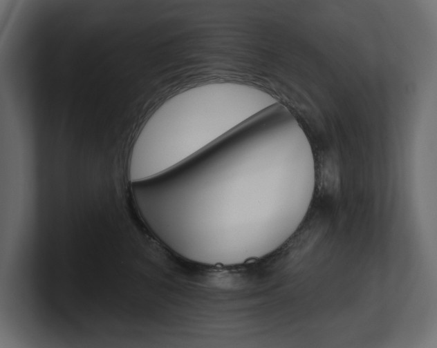 X0000101230616200806270947