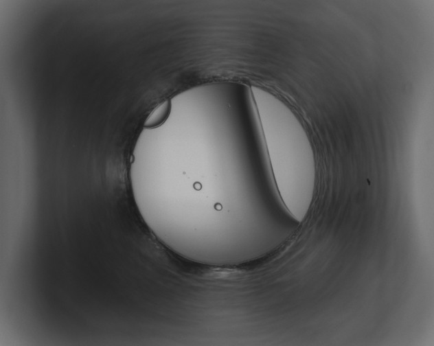 X0000101230617200806270947