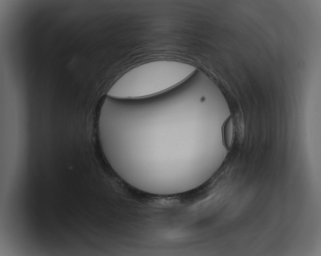 X0000101230619200806270947
