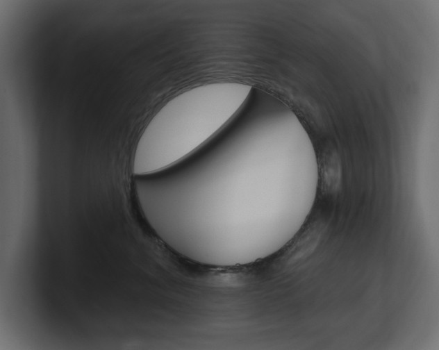 X0000101230620200806270947