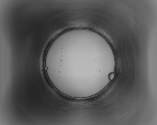 X0000101230629200806270946