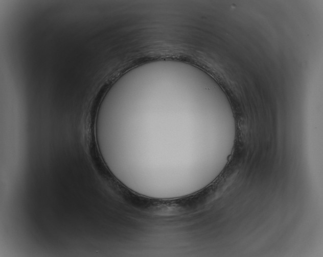 X0000101230642200806270946