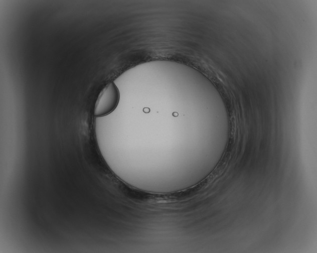 X0000101230655200806270946