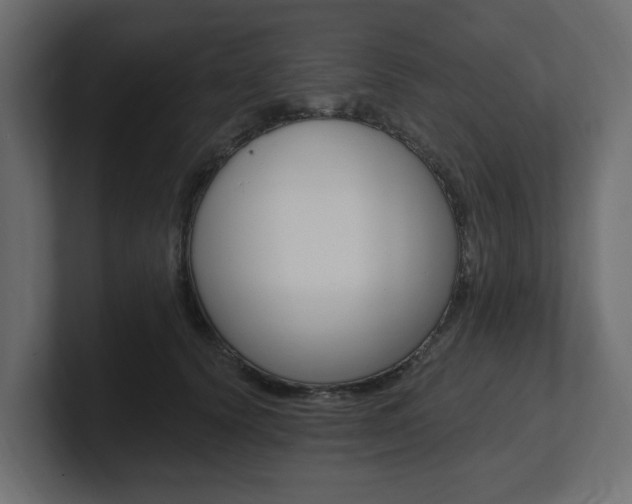 X0000101230656200806270946