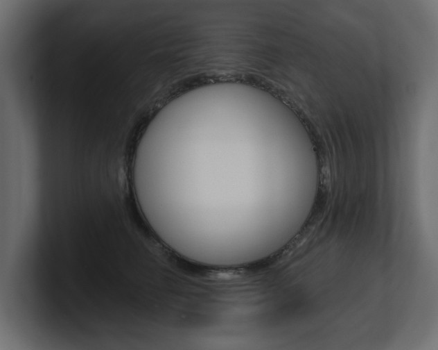 X0000101230662200806270946