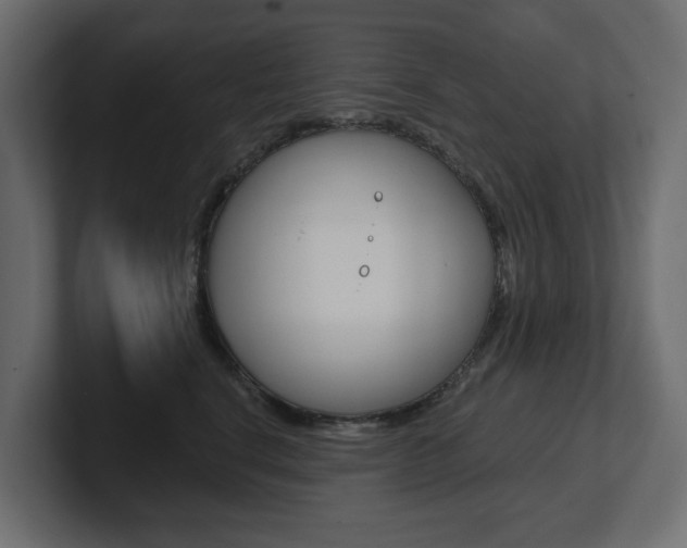 X0000101230664200806270946