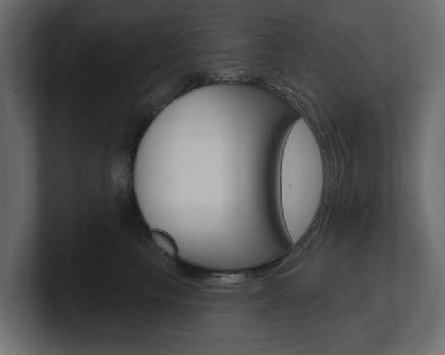 X0000101230665200806270946