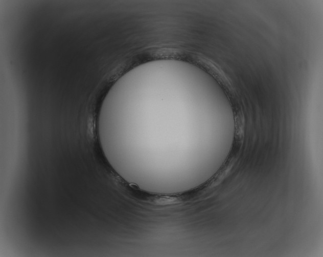X0000101230669200806270946
