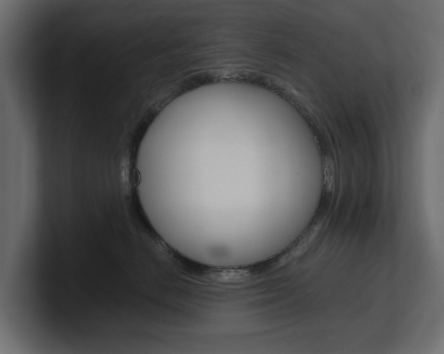 X0000101230670200806270946
