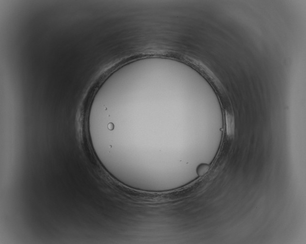 X0000101230675200806270946