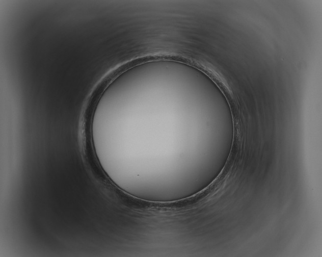 X0000101230676200806270946