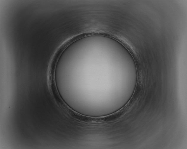 X0000101230680200806270946