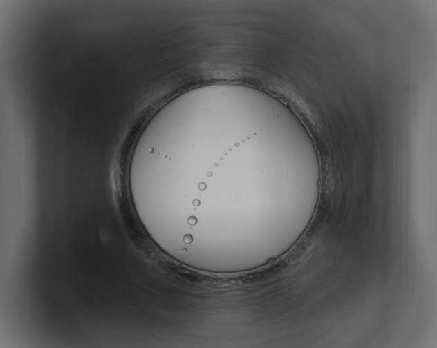 X0000101230683200806270946