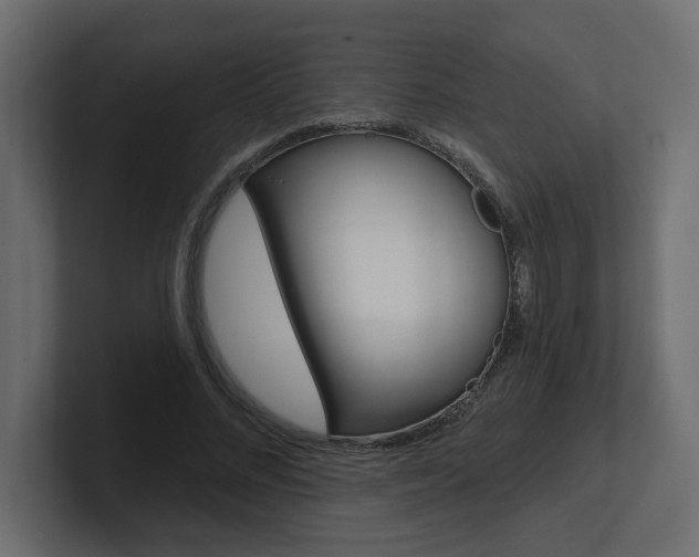 X0000101230684200806270946