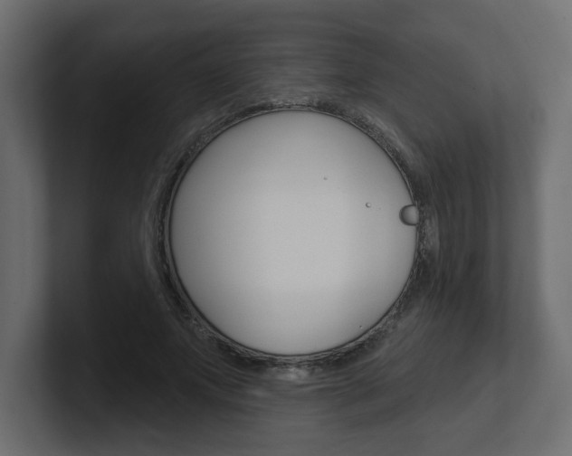 X0000101230687200806270946