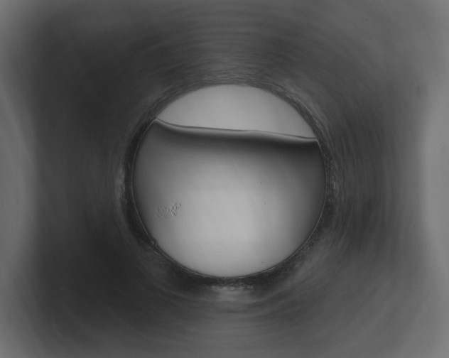 X0000101230693200806270946