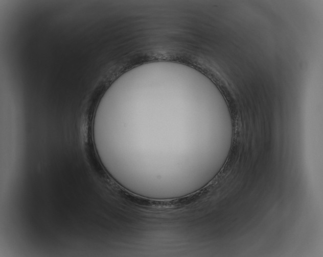X0000101230694200806270946