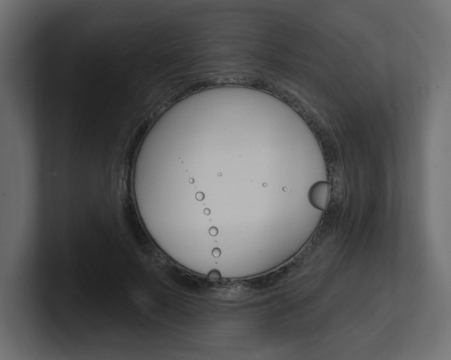 X0000101230695200806270946