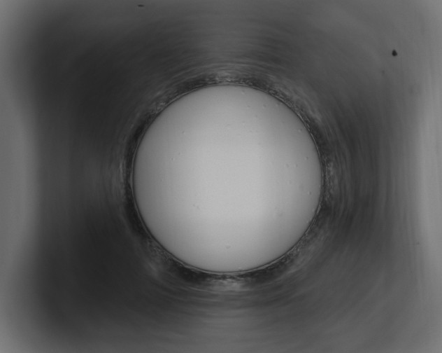 X0000101230698200806270946