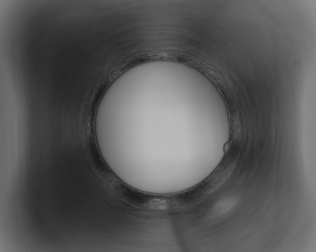 X0000101230699200806270946