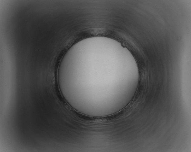 X0000101230700200806270946