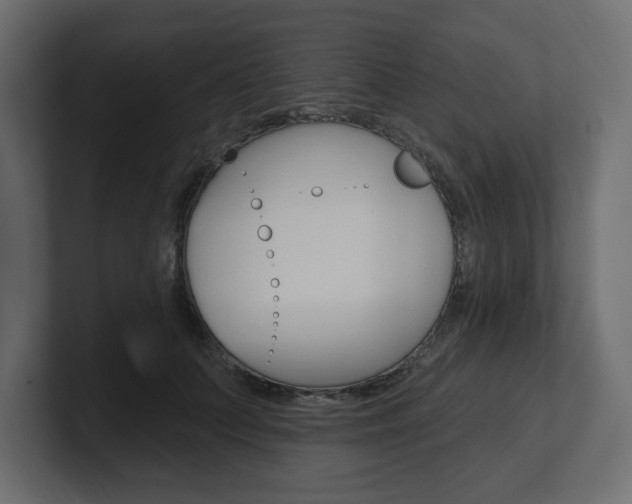 X0000101230703200806270945