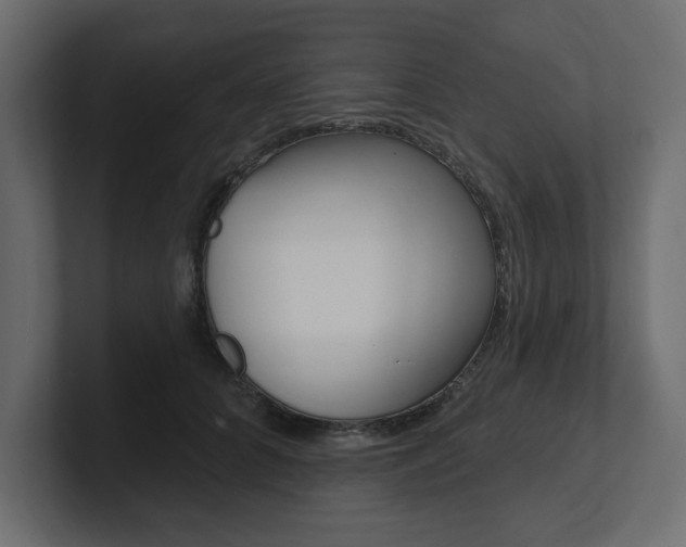 X0000101230704200806270945