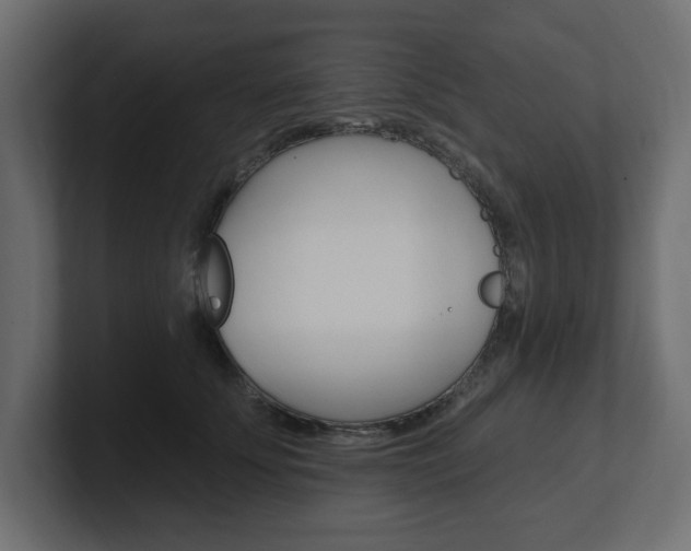 X0000101230707200806270945