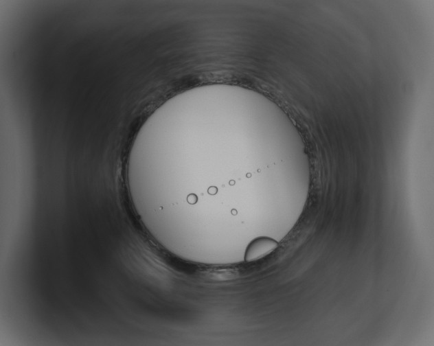 X0000101230711200806270945