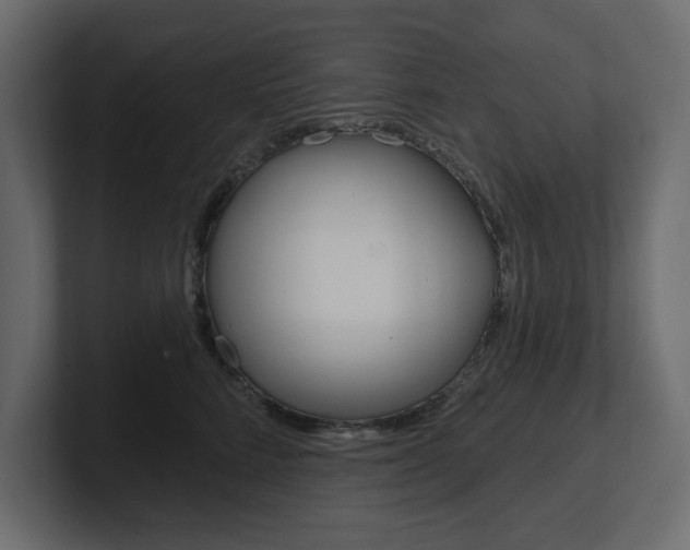 X0000101230712200806270945
