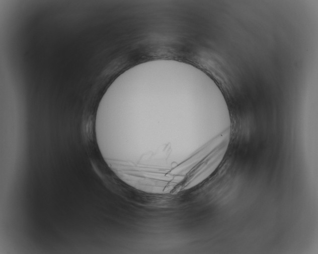 X0000101230717200806270945
