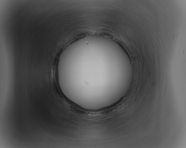 X0000101230720200806270945
