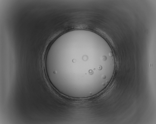 X0000101230721200806270945